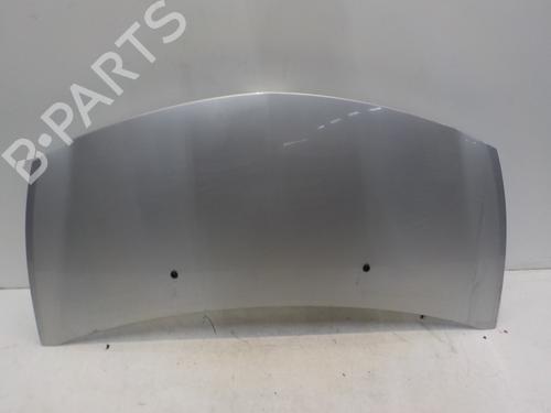 Used Hood RENAULT CLIO III (BR0/1, CR0/1) 1.4 16V (98 hp) 17188739