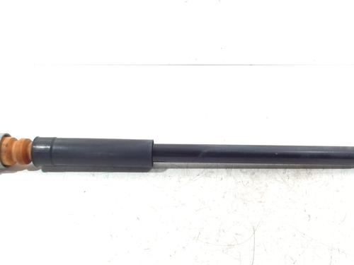 Used Left rear shock absorber FORD FIESTA VI (CB1, CCN) 1.25 (60 hp) 12453949