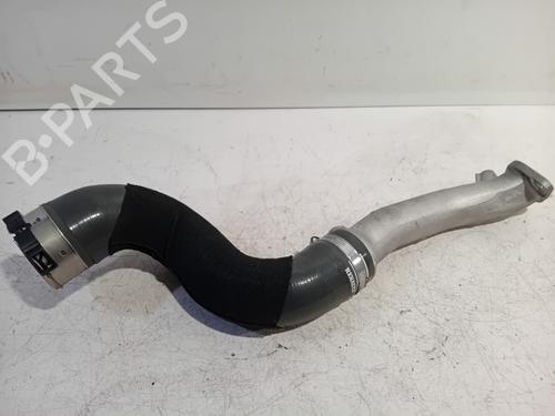 Other RENAULT MEGANE IV Hatchback (B9A/M/N_) 1.6 TCe 205 (B9MV) | BP25154184O1 