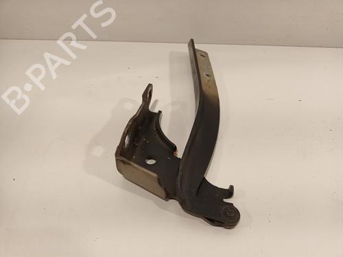 Hinge/Door check strap FIAT PUNTO EVO (199_) 1.3 D Multijet | BP16405123C146 