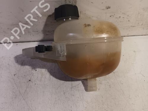 Expansion tank RENAULT TWINGO III (BCM_, BCA_) 1.0 SCe 70 | BP13814086C120 