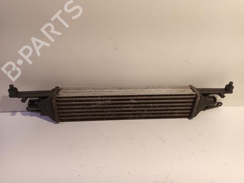 Intercooler FIAT PUNTO EVO (199_) 1.3 D Multijet | BP16534331M30 - Image 4