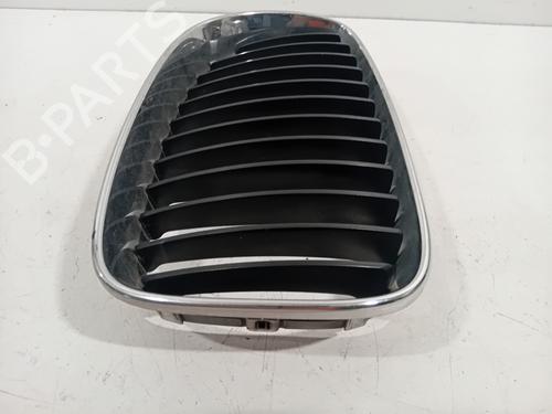 Grille BMW 1 (E87) 116 d | BP27638985C40 