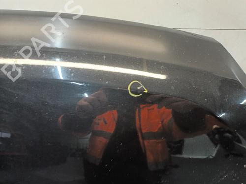 Hood FIAT DOBLO Cargo (263_) 1.3 D Multijet | BP21079825C1 