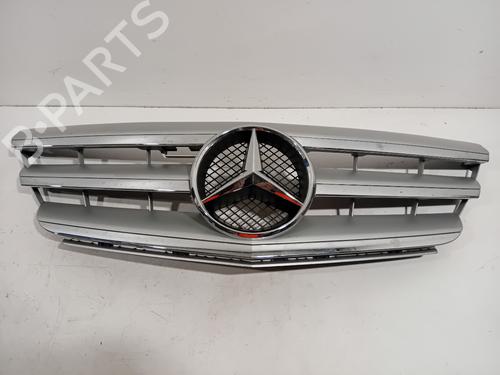 Used Grille MERCEDES-BENZ B-CLASS Sports Tourer (W245) B 200 (245.233) (136 hp) 27593498