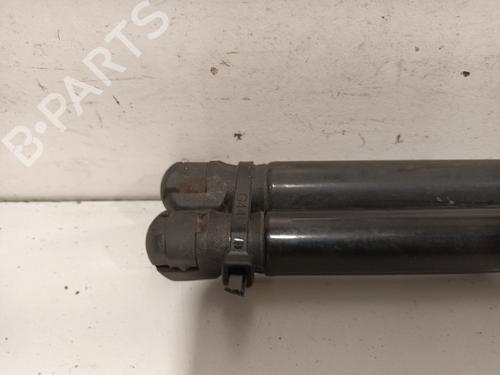 Tailgate lift support VW POLO V (6R1, 6C1) 1.4 TDI | BP15296164C138 