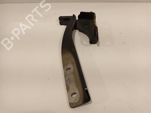Hinge/Door check strap FIAT PUNTO EVO (199_) 1.3 D Multijet | BP16405123C146 