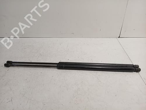 Used Tailgate lift support MERCEDES-BENZ VIANO (W639) CDI 2.0 (639.711, 639.713, 639.811, 639.813, 639.815) (109 hp) 19269477