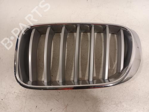 Used Grille BMW X3 (E83) 2.0 d (150 hp) 15855803