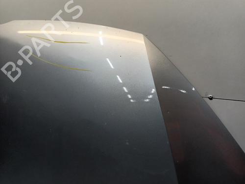 Hood VW PASSAT B7 Variant (365) 1.6 TDI | BP30499161C1 