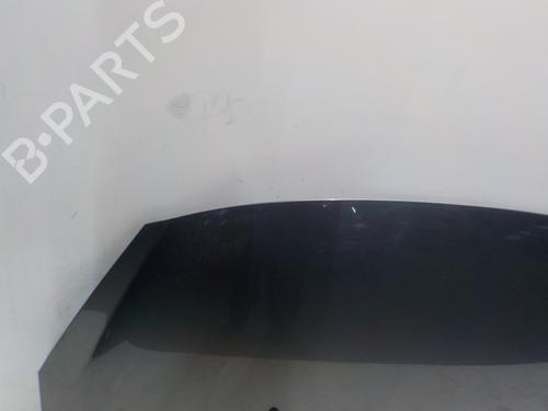 Hood PEUGEOT 207 CC (WD_) 1.6 16V | BP16964716C1