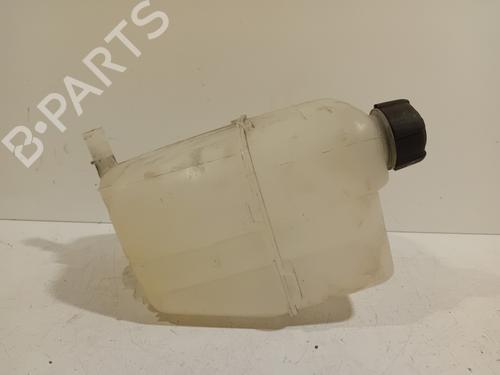 Expansion tank RENAULT KANGOO Express (FW0/1_) Z.E. (FW0Z, FW1Z) | BP21081913C120 
