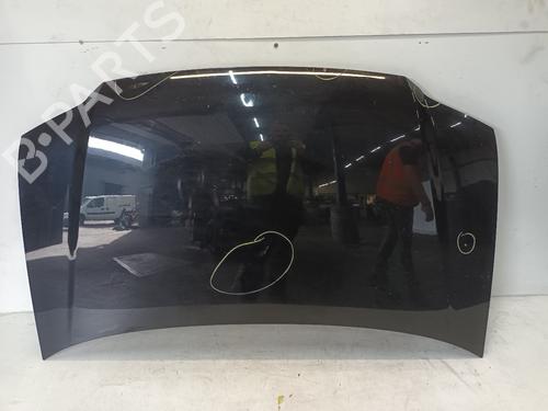 Used Hood VW TOURAN (1T1, 1T2) 2.0 FSI (150 hp) 20308557