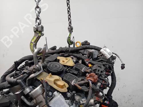 Motor VW GOLF VIII (CD1, DA1) 2.0 GTI | BP32388942M1