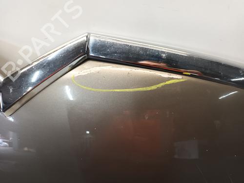 Hood CITROËN C4 Picasso I MPV (UD_) 1.6 16V | BP19287037C1 