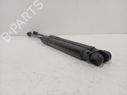 Hood lift support RENAULT SCÉNIC IV (J9_) 1.3 TCe 160 (J9NC) | BP28282973C139 