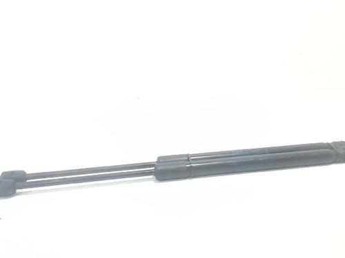 Used Tailgate lift support RENAULT MEGANE III Hatchback (BZ0/1_, B3_) 1.5 dCi (BZ09, BZ0D, BZ1W, BZ29, BZ14) (110 hp) 13197289