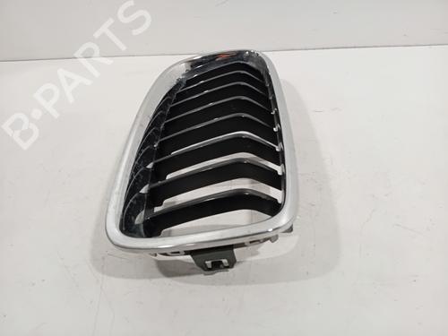 Grille BMW 3 Touring (F31) 320 i | BP26725556C40 