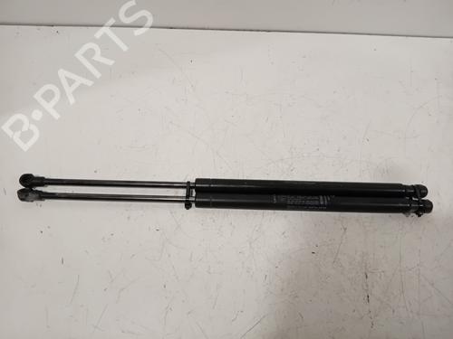 Tailgate lift support FIAT 500 (312_) 1.2 (312AXA1A) | BP21112533C138 