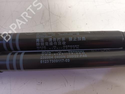 Hood lift support BMW 5 (F10) 528 i xDrive | BP17185940C139 