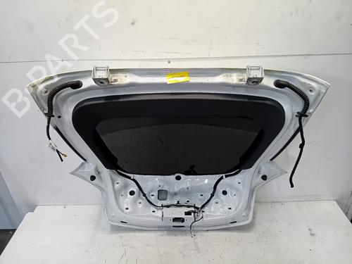 Tailgate RENAULT MEGANE III Coupe (DZ0/1_) 2.0 TCe (DZ0K) | BP29038844C6 