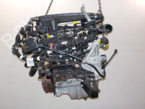 たー fiat lux Amazon.com: XYohykai 12V 121615GT 121615 Throttle