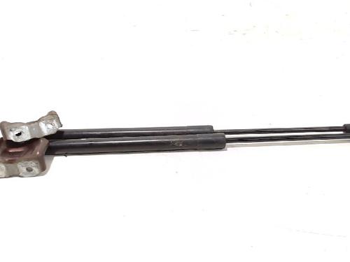 Tailgate lift support RENAULT CLIO IV (BH_) 1.2 TCe 120 (BHM0) 844308661R
