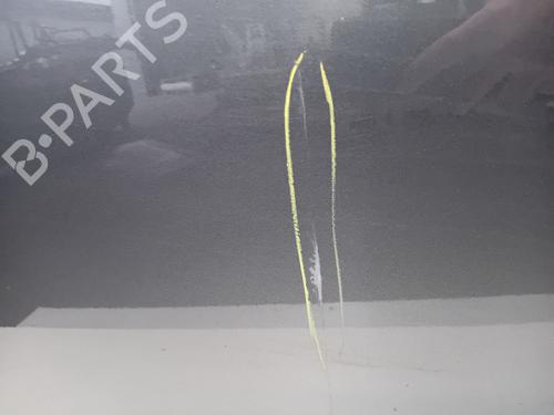 Left front door VW TRANSPORTER T6 Van (SGA, SGH, SHA, SHH) 2.0 TDI | BP29563636C2 