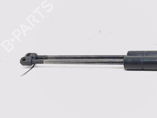 Tailgate lift support SEAT ALHAMBRA (7V8, 7V9) 1.9 TDI | BP13195818C138 