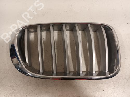 Used Grille Grille 15855804 15855804