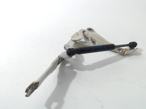 Hinge/Door check strap MINI MINI (R56) One | BP13205723C146 