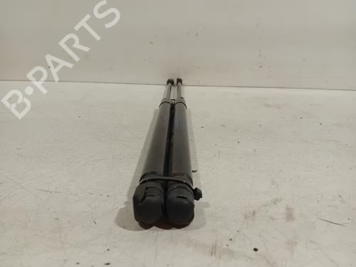 Tailgate lift support SEAT LEON (1P1) 1.2 TSI | BP20094678C138 