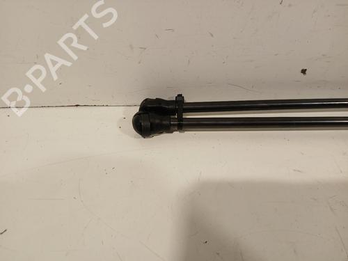 Hood lift support RENAULT KANGOO III Box Body/MPV 1.5 Blue dCi 115 (FJAC) | BP30625237C139