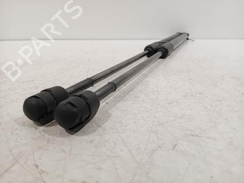 Tailgate lift support SKODA OCTAVIA III (5E3, NL3, NR3) 1.0 TSI | BP20136098C138 