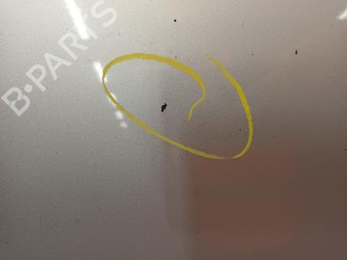 Hood FIAT DOBLO Cargo (263_) 1.6 D Multijet (263WXD1B, 263WXR1B, 263WXX1B, 263ZXD1B,... | BP19053622C1 