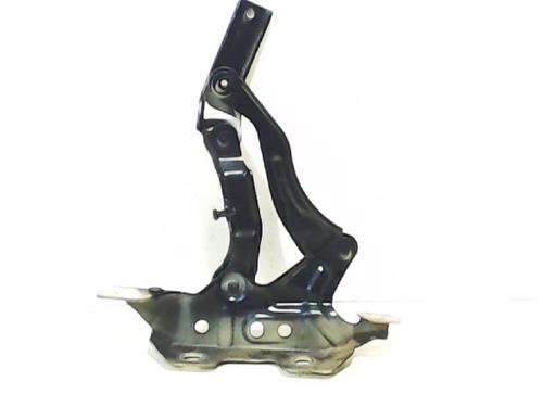 Hinge/Door check strap MERCEDES-BENZ A-CLASS (W169) A 150 (169.031, 169.331) BP13196123C146