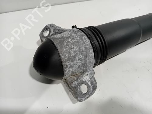 Right rear shock absorber VW TIGUAN (AD1, AX1) 1.4 TSI | BP32232317M19