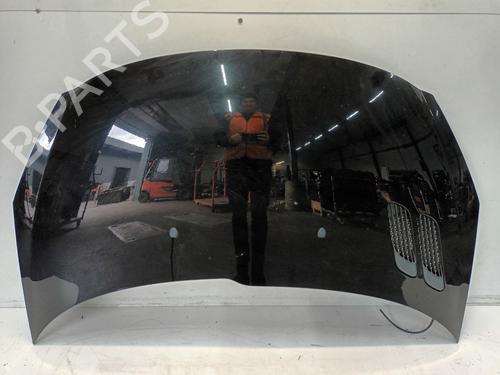 Used Hood PEUGEOT 206+ (2L_, 2M_) 1.4 i (2LKFWA, 2MKFWA) (75 hp) 24228972