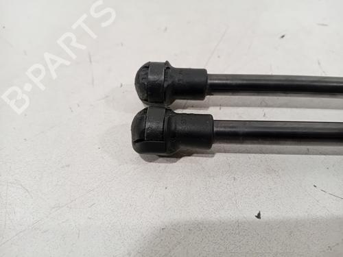 Hood lift support RENAULT SCÉNIC IV (J9_) 1.3 TCe 160 (J9NC) | BP28282973C139 