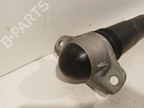 Left rear shock absorber VW GOLF VIII (CD1, DA1) 1.5 eTSI | BP29325519M18 