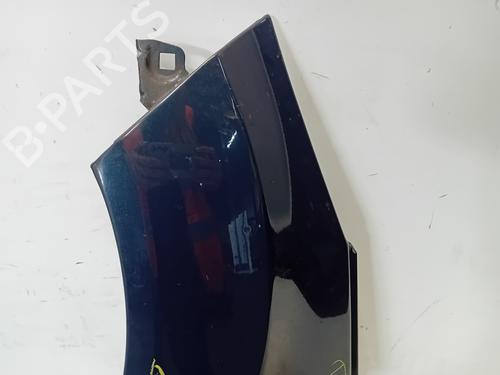 Left front fenders FORD FIESTA VI (CB1, CCN) 1.6 TDCi | BP19794027C41 
