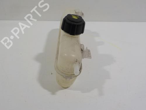 Expansion tank RENAULT ZOE (BFM_) ZOE | BP16668012C120 