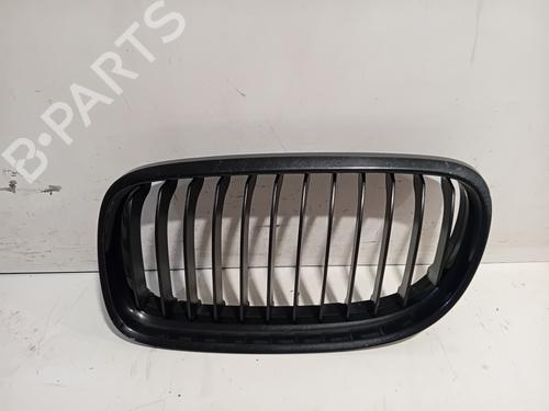 grille-bmw-3-touring-e91-2004-2005-2006-2007-2008-2009-2010-2011-2012-30907915 main image