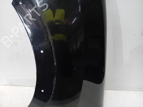 Left front fenders DACIA SANDERO II TCe 90 (B8M1, B8MA, B8AC) | BP28077610C41 