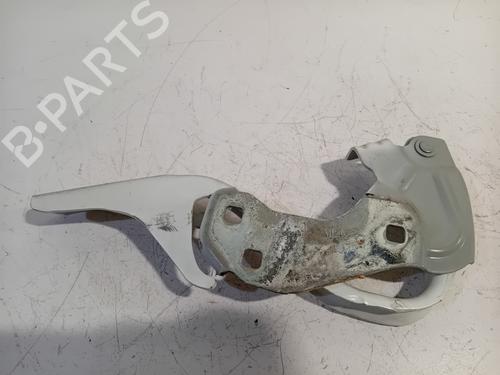 hingedoor-check-strap-abarth-500-595-695-2008-24207585 main image