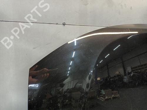 Hood DACIA DUSTER (HS_) 1.6 16V | BP29816242C1 