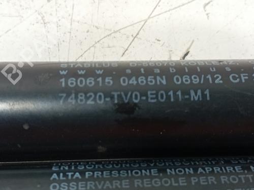 Tailgate lift support HONDA CIVIC IX (FK) 1.4 i-VTEC (FK1) | BP24535949C138