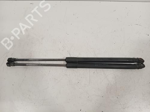 Tailgate lift support SEAT IBIZA IV SC (6J1, 6P5) 1.4 | BP18240018C138 