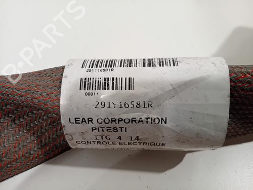 Cable RENAULT ZOE (BFM_) ZOE | BP29427893E12 