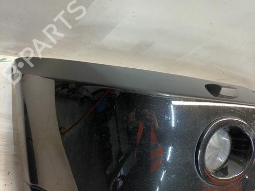 Front bumper LAND ROVER RANGE ROVER SPORT I (L320) 3.6 D 4x4 | BP22931312C7 